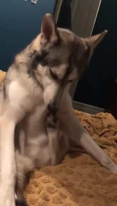 That&rsquo;s the spot