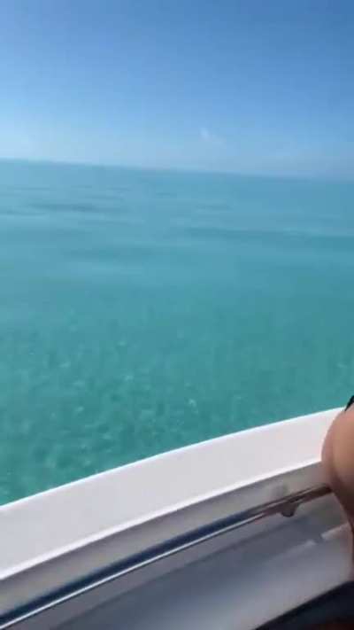 Put this one in slow mo