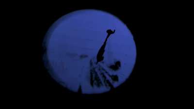 LET GO - Autotune + Added Echo &amp;amp; Reverb (DONDA 2020)