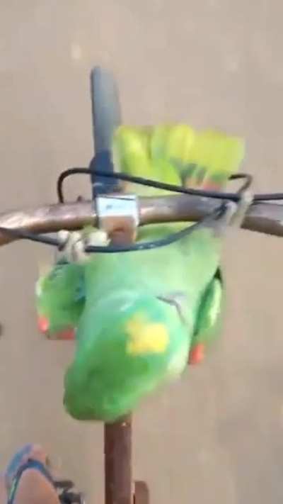 "Blonde" driving bike randandandan