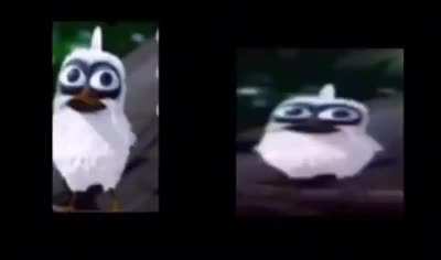 die