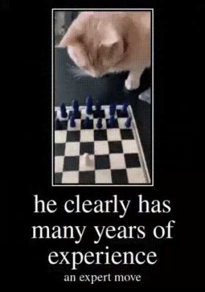 Master😳