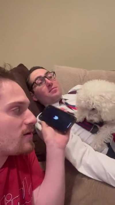 Testing a dog translator.