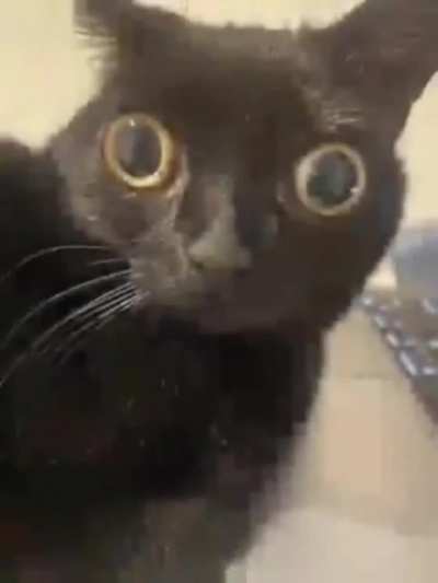 Huh?