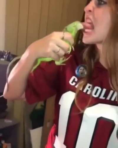 To kiss an iguana