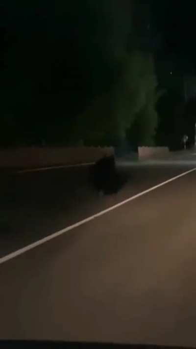 wrong lane bro