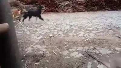 Revenge is a dish best served cold.