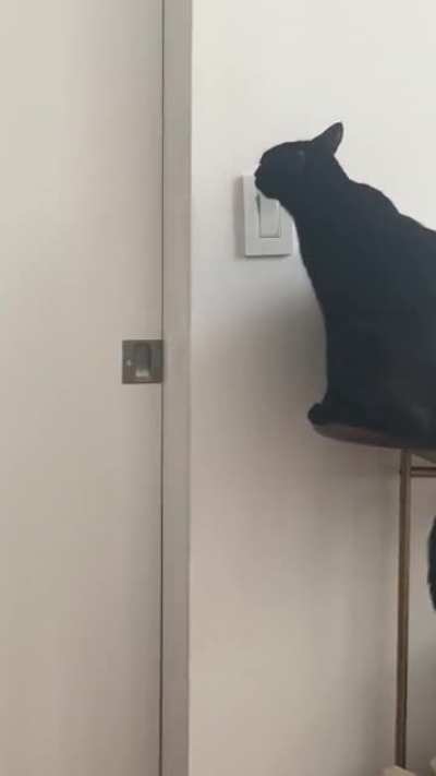 He&rsquo;s not supposed to play with the light switch