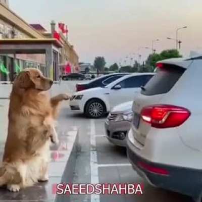 😂🤣🤣