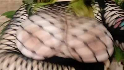 i always smile when i [reveal] my tits on reddit