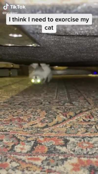 Oh lawd it&rsquo;s under the bed