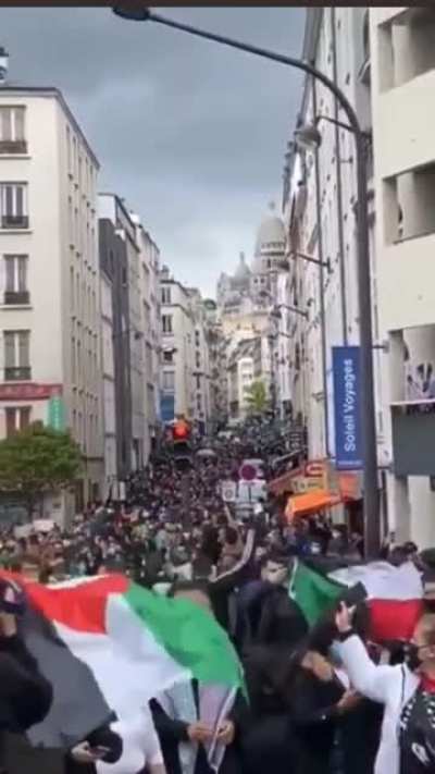 Massive protest packs the streets of Paris despite Macron's illegal anti-FOE ban on pro-Palestine demonstrations.