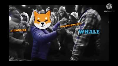 "SHIB AIN'T DEAD!"
