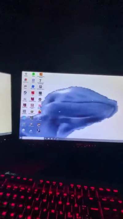 What you guys think of my wallpaper?