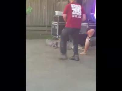 Yeah, walk it off man