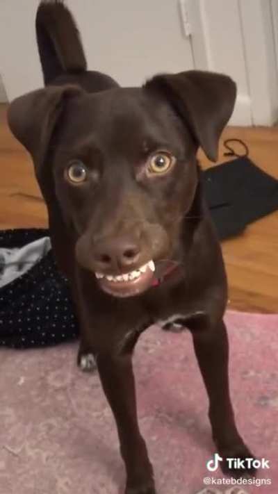 Teefs