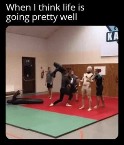 Guy does great Karate Moves! (from u/AMarvelFan717)