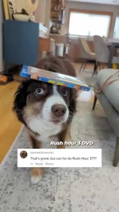 That&rsquo;s one talented pup