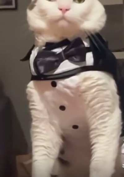 A-