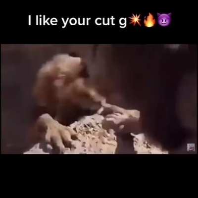 Ripped from Instagram (oh, how the turntables)
