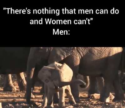 I'm all for gender equality but let's be real