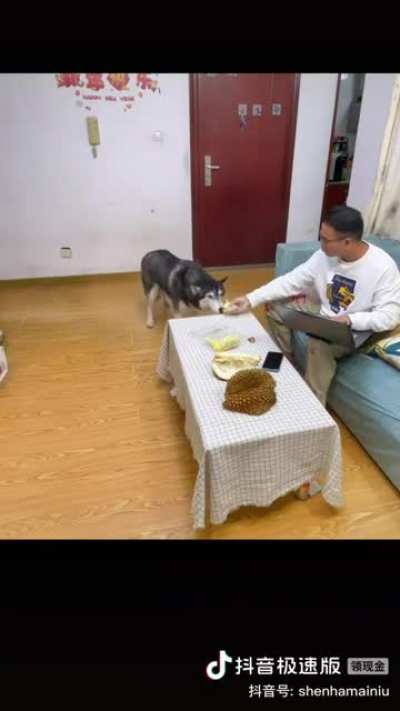 It&rsquo;s durian! Do you wanna try it?