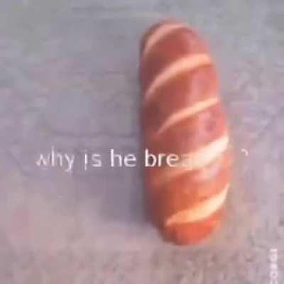 Blursed_dog