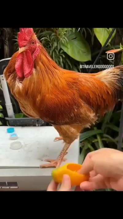 title