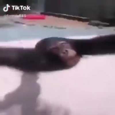 An Interesting title