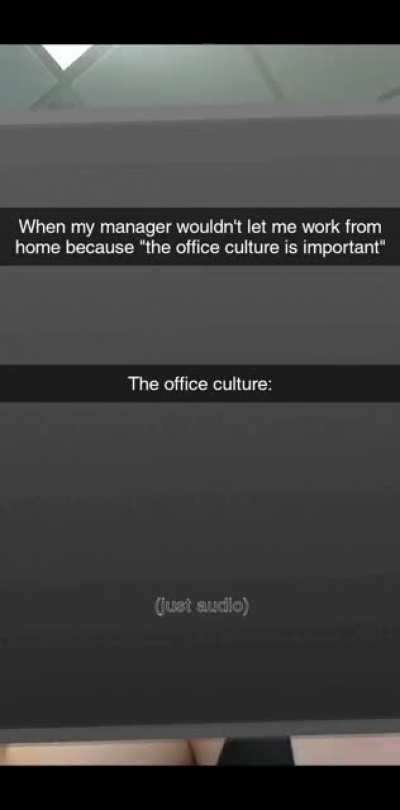 The "Office Culture" is exactly why I want to work from home.