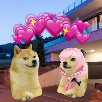 Doge No. 5