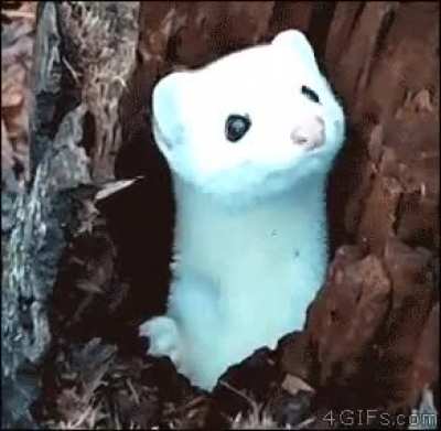 "Oh hi there."