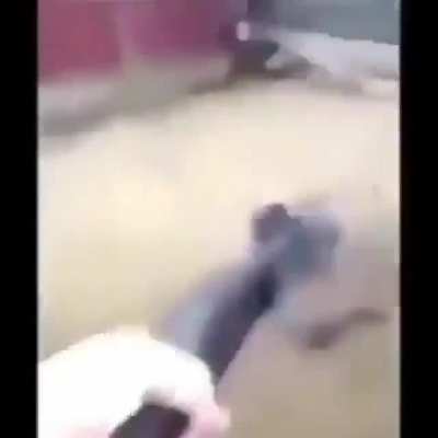 lol