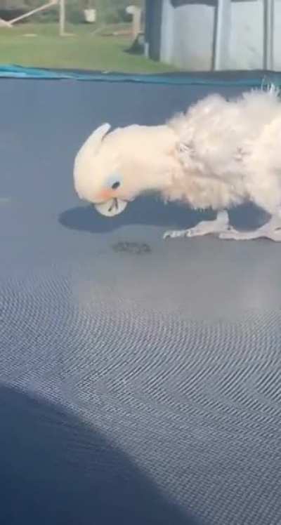 Where did it go...