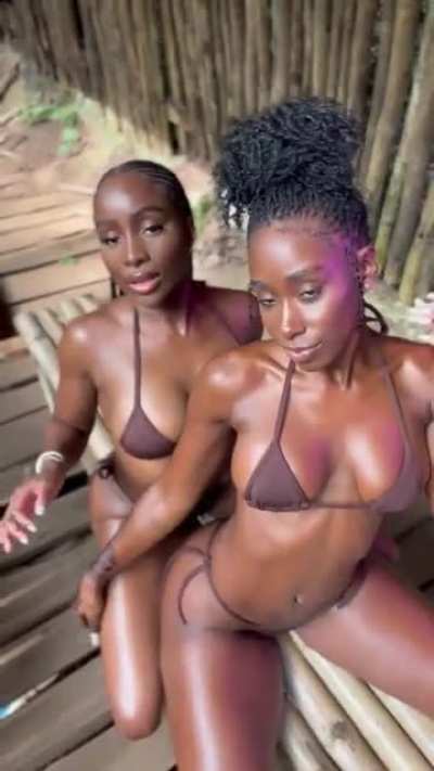 Bria & friend ... @sandralembeck [video]