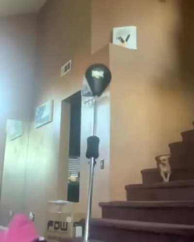 WCGW punching a ball on a flimsy pole at full force
