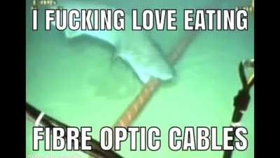 yummy