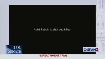 Senate video submission for Capitol Riot Impeachment