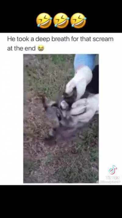 Title