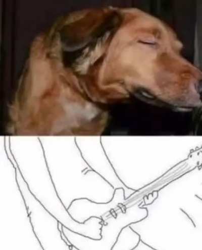 Summoned a Direwolf, and they weren't kidding, these chords are dire as fuck