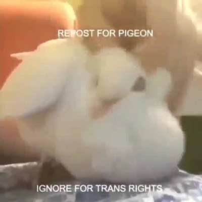 No s&eacute; si es repost en este sub pero bueno