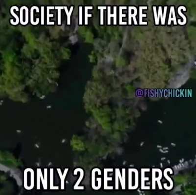 Society