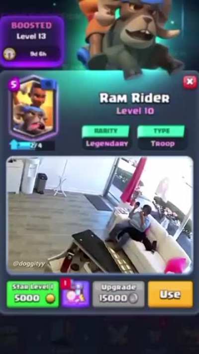 Hog rd