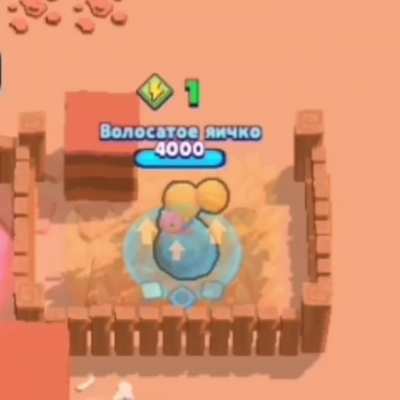 Shelly is coming