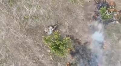 One more russian suicide