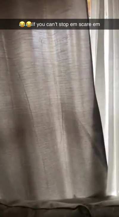 My sister is very protective of her bird feeders.