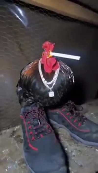 drippy cock,the ruler of jordans.