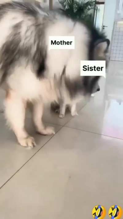 When brother and sister quarrel.😅