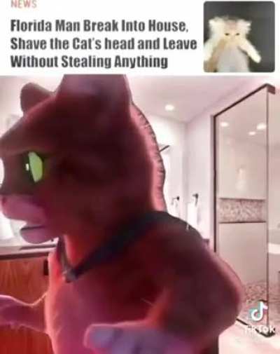 Blursed Florida Man