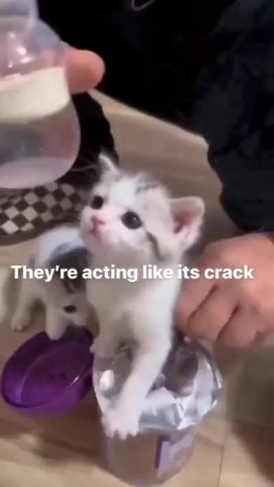 imma seal up all my cracks